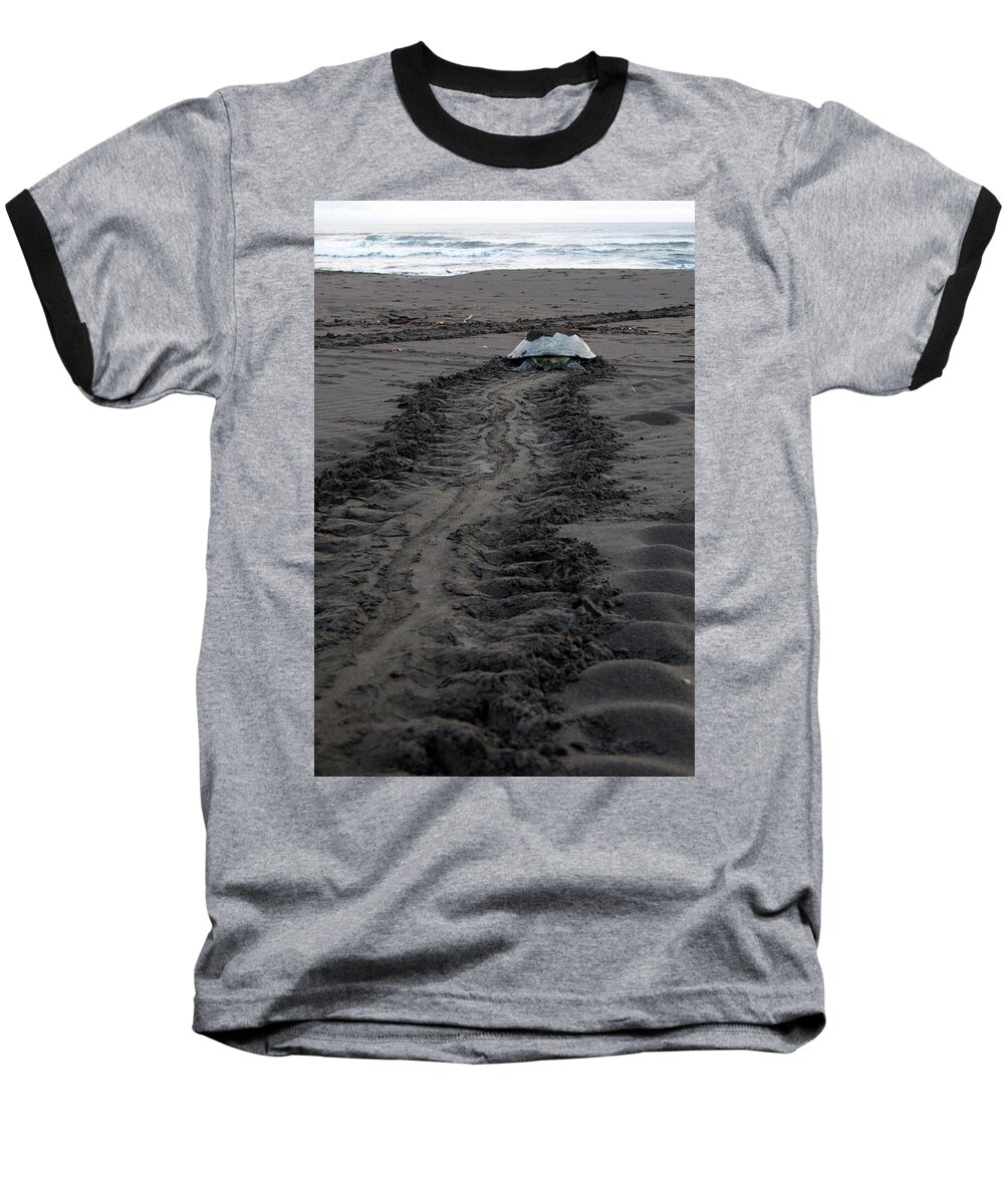 Green Sea Turtle Baseball T-Shirt featuring the photograph Green Sea Turtle returning to sea #2 by Breck Bartholomew