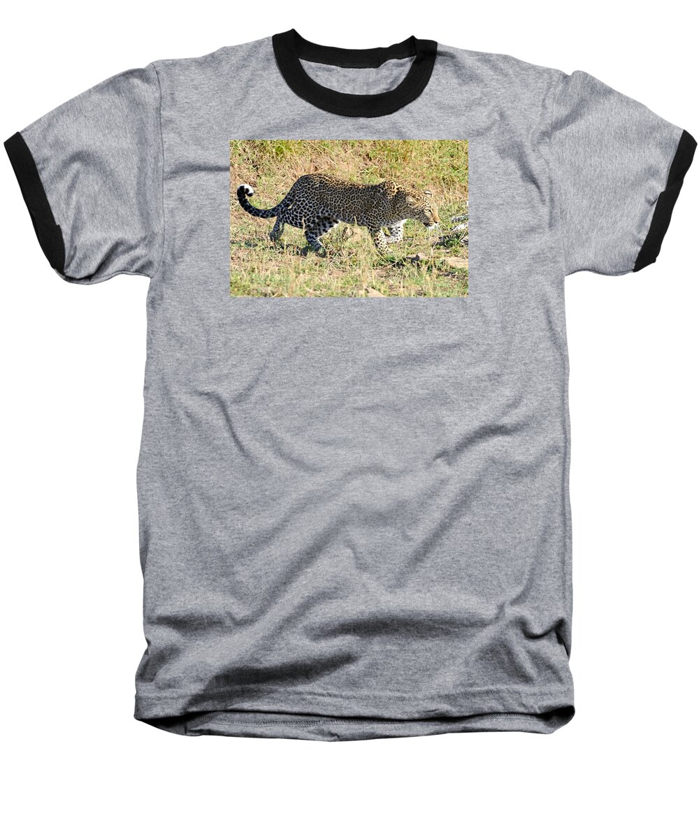 Poised Baseball T-Shirt featuring the photograph Leopard Stalking #2 by Tom Wurl