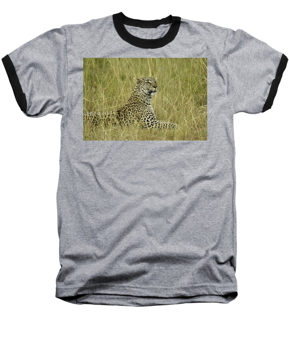 Africa Baseball T-Shirt featuring the photograph Lovely Leopard #2 by Michele Burgess