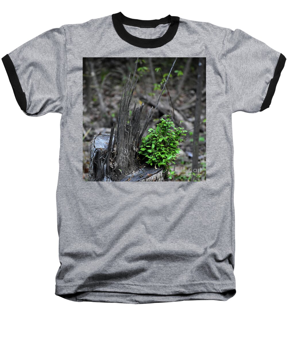 Nature Baseball T-Shirt featuring the photograph Persistence #2 by Skip Willits