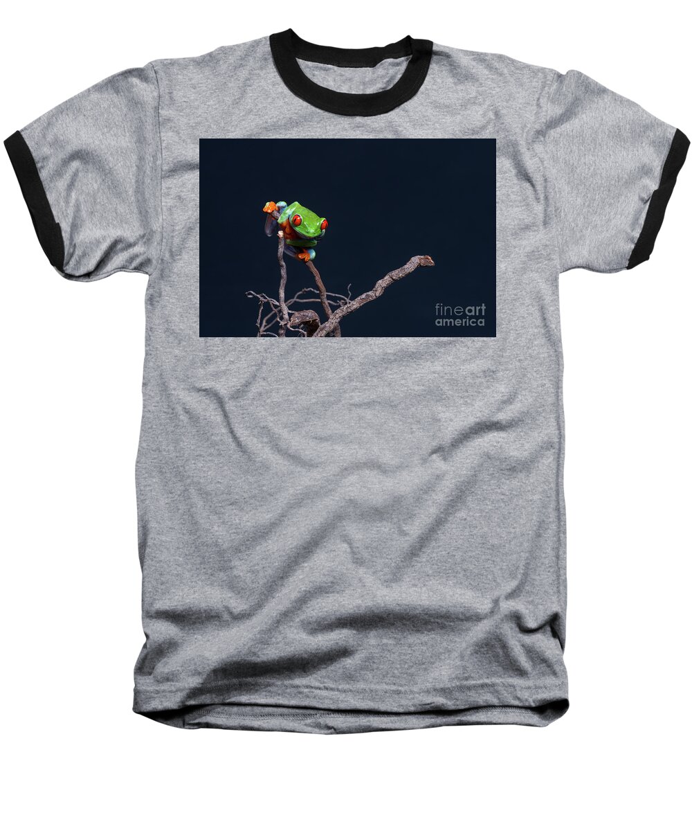 Frog Baseball T-Shirt featuring the photograph Red eyed tree frog #2 by Les Palenik