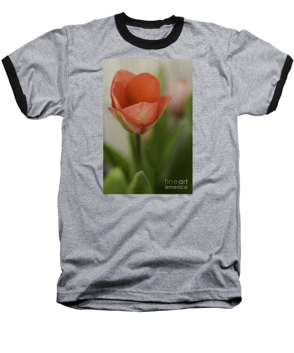 Tulip Baseball T-Shirt featuring the photograph The Chosen One #2 by Nick Boren