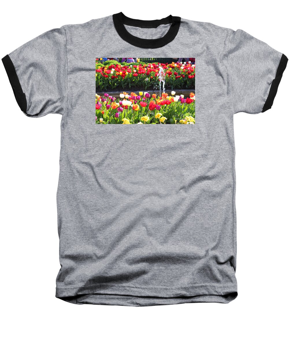 Sydney Tulip Show Baseball T-Shirt featuring the photograph Tulip Festival #2 by Bev Conover