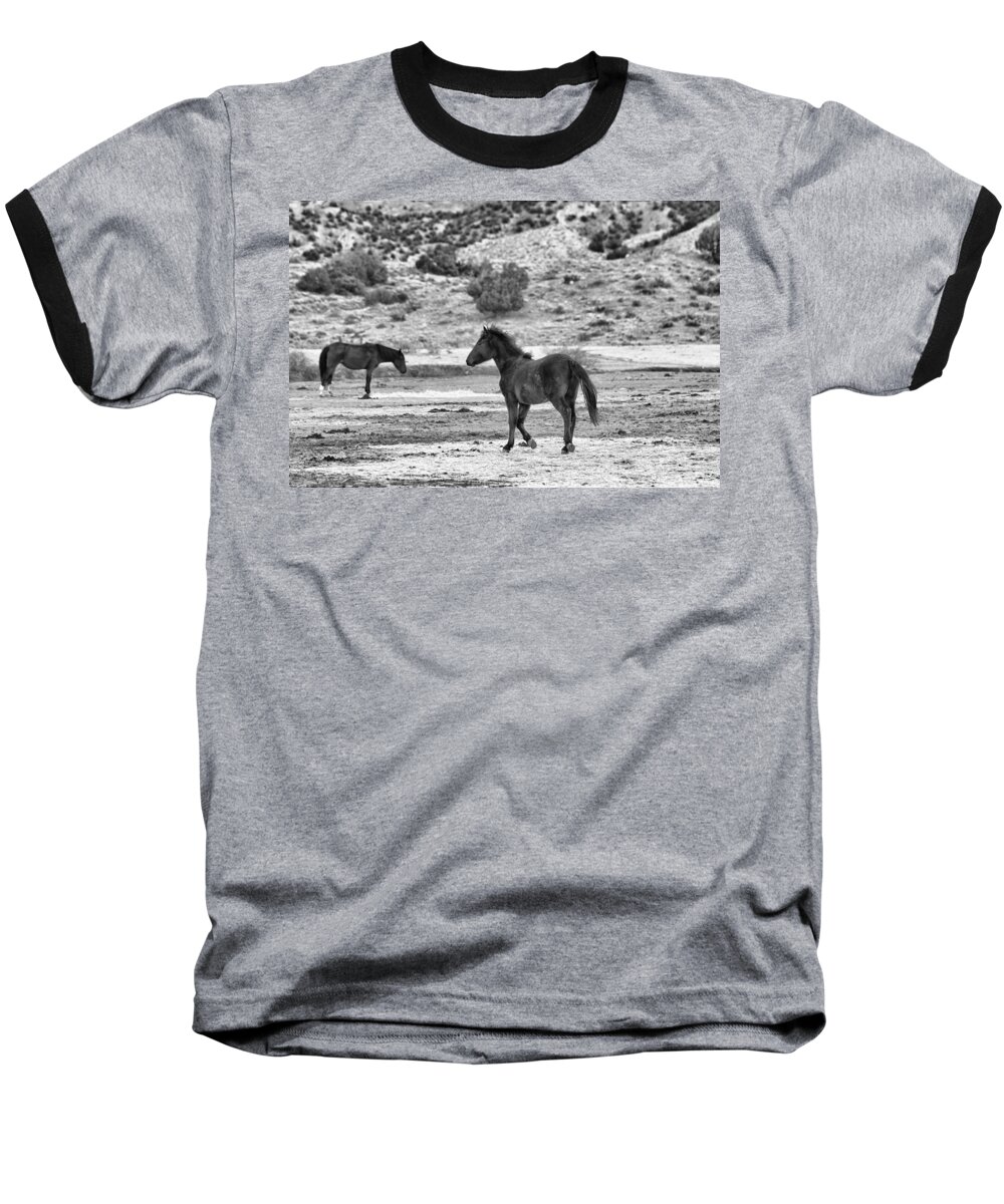 Virginia Range Mustangs Baseball T-Shirt featuring the photograph Virginia Range Mustangs #2 by Maria Jansson