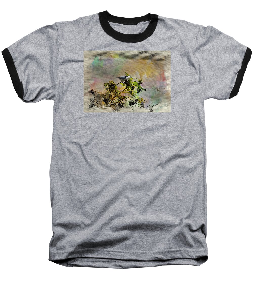 White Breasted Nuthatch Baseball T-Shirt featuring the photograph White breasted Nuthatch #2 by Yumi Johnson
