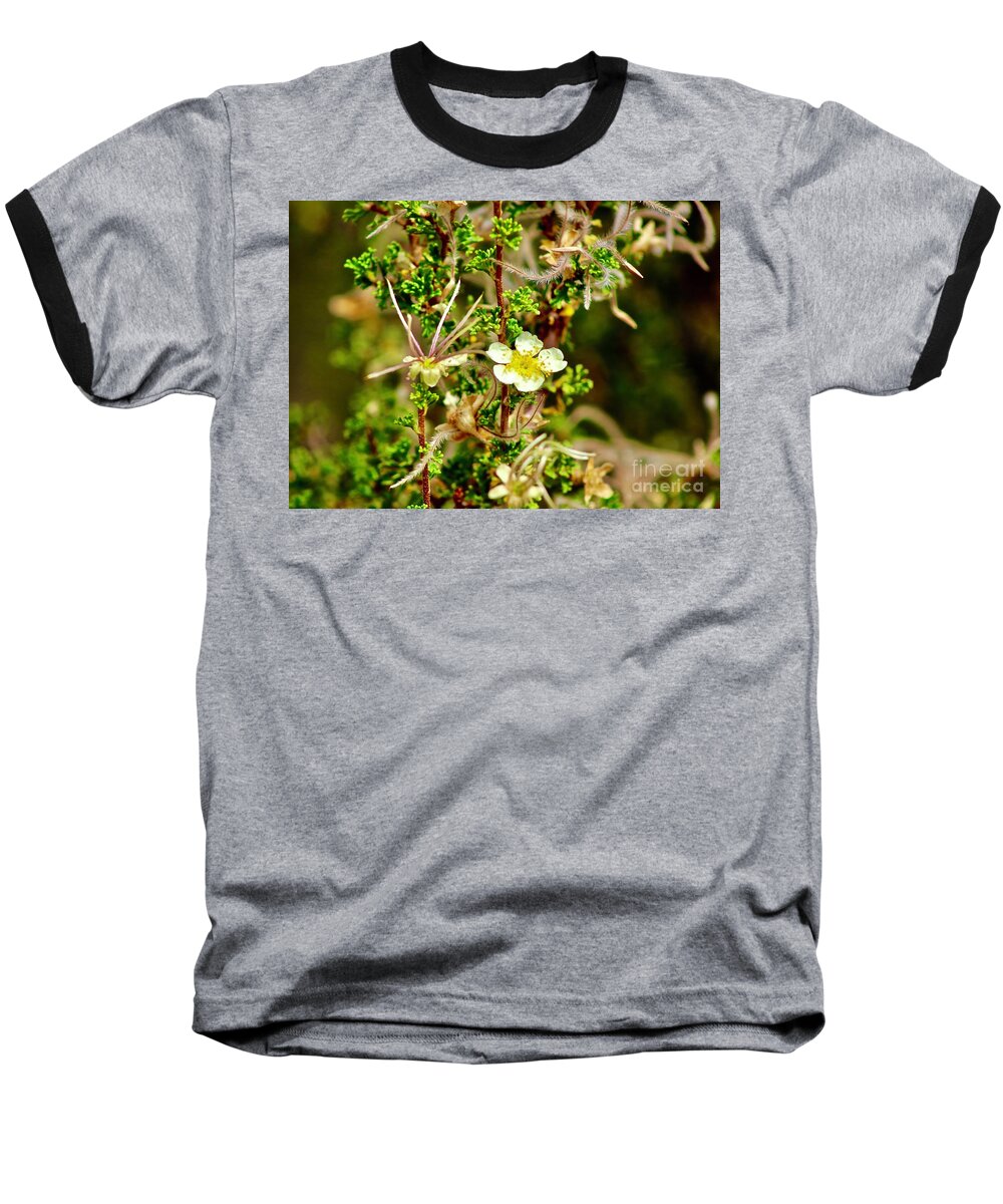 Wildflower Baseball T-Shirt featuring the photograph Wild Flowers #2 by Craig Wood