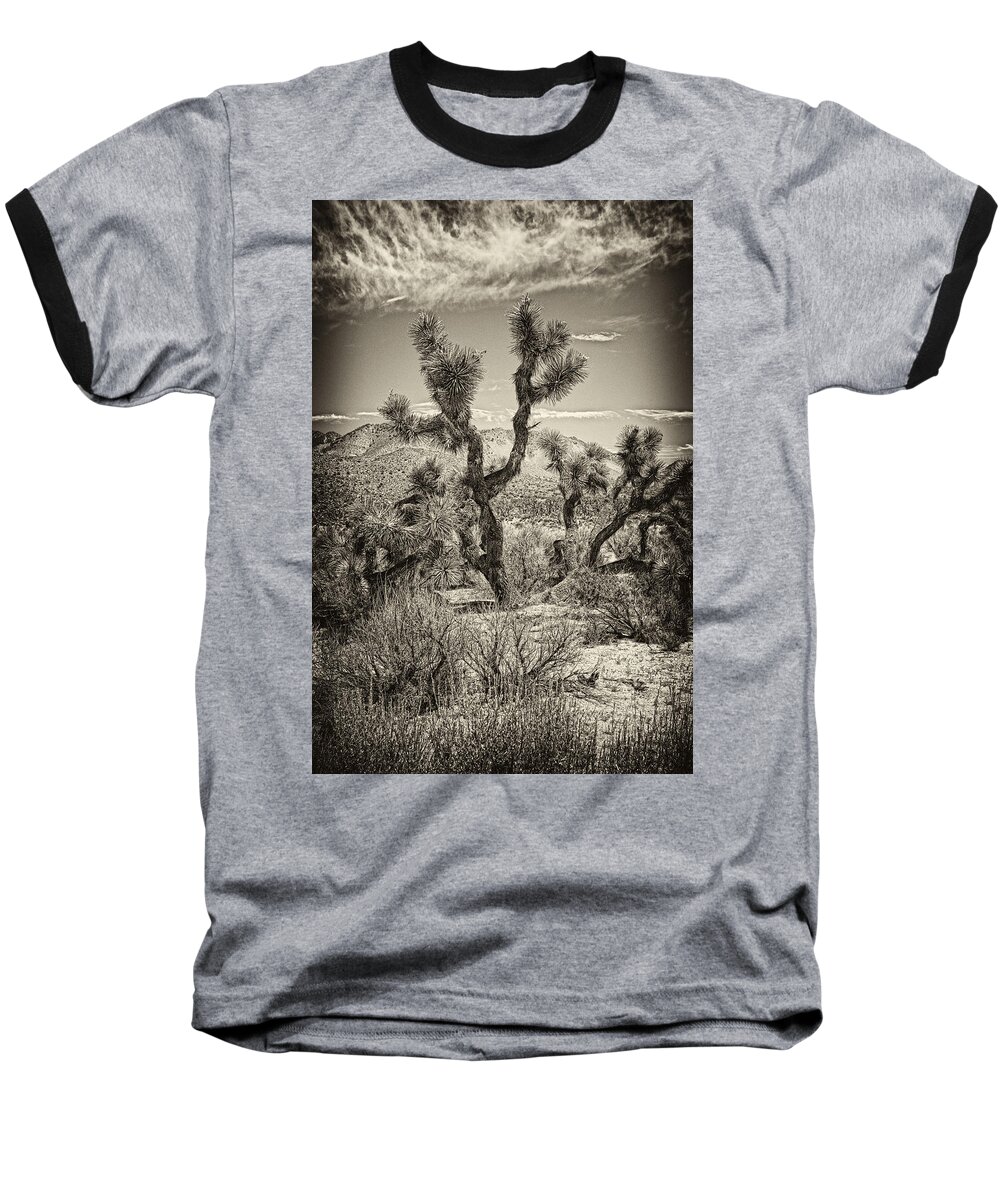 Yucca Baseball T-Shirt featuring the photograph Yucca #2 by Hugh Smith
