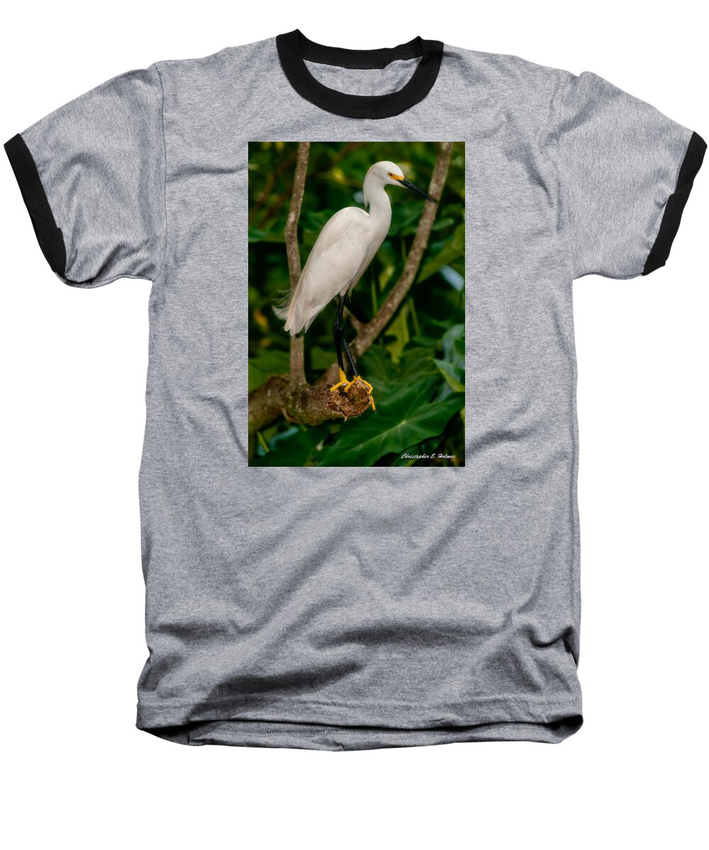 Christopher Holmes Photography Baseball T-Shirt featuring the photograph White Egret by Christopher Holmes