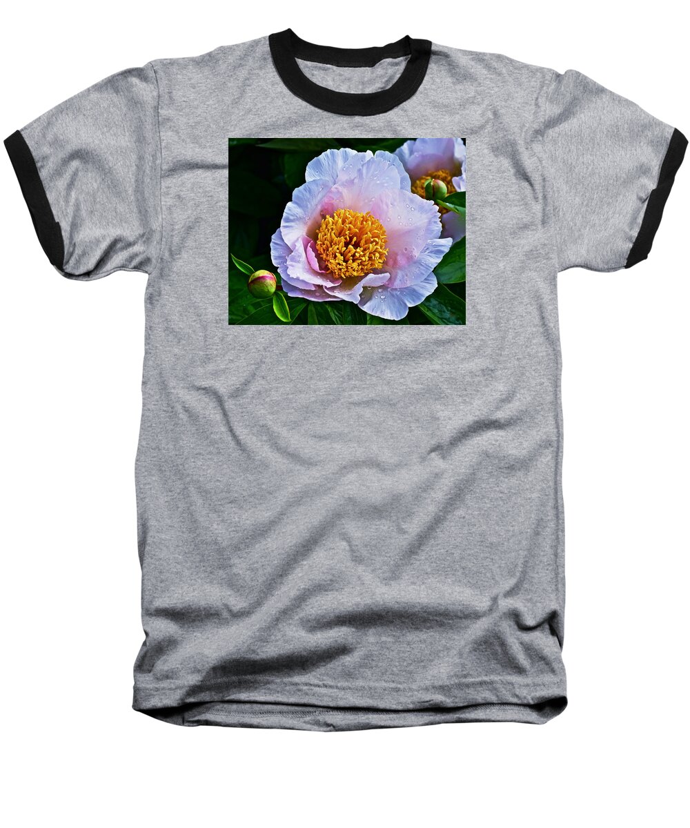 Peony Baseball T-Shirt featuring the photograph 2015 Spring at the Garden White Peony by Janis Senungetuk