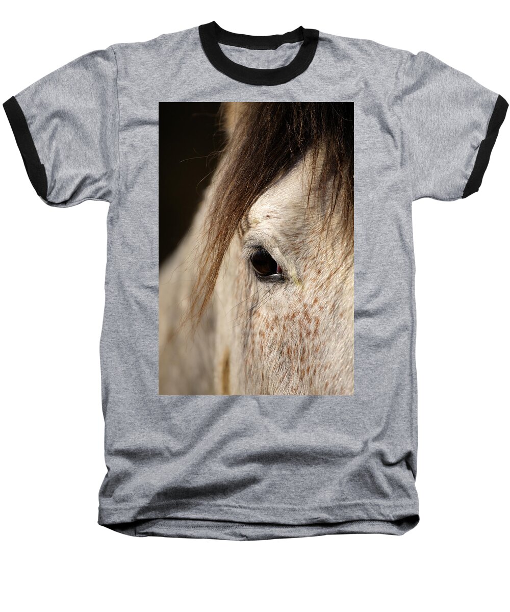 Horse Baseball T-Shirt featuring the photograph Horse portrait #3 by Ian Middleton