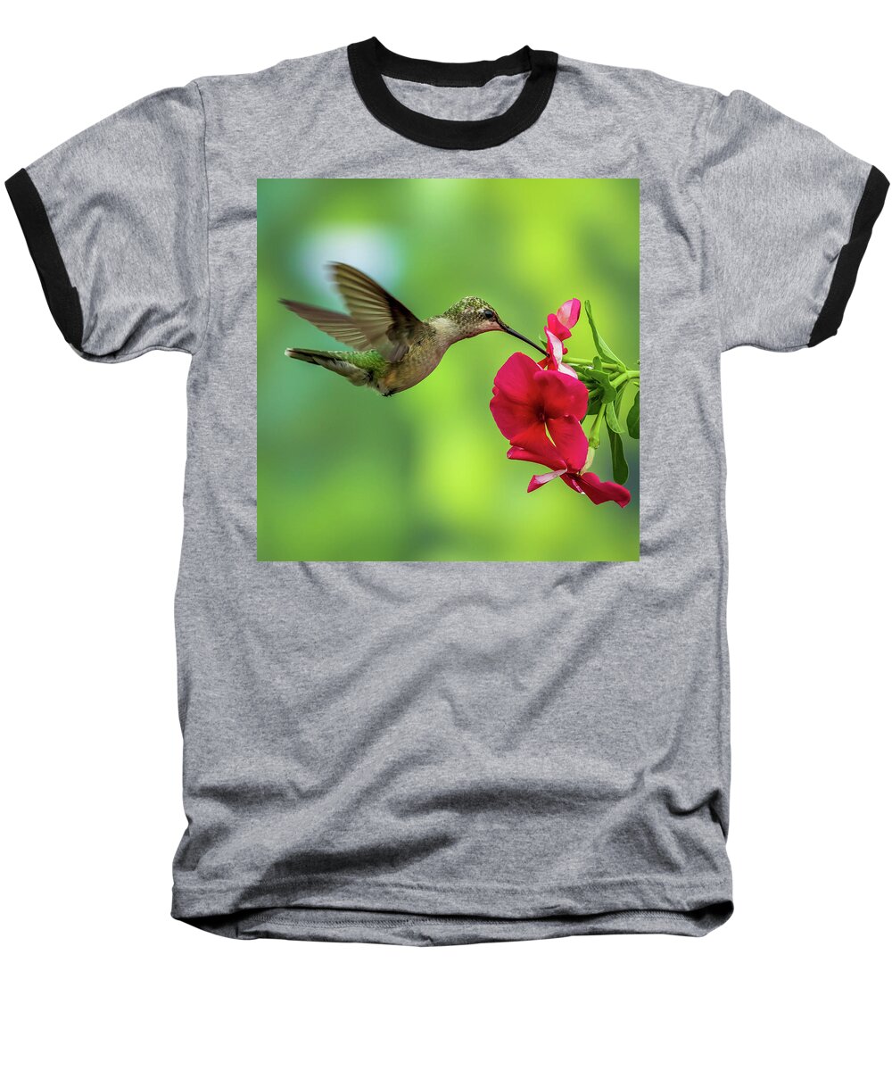 Hummingbird Baseball T-Shirt featuring the photograph Hummingbird #3 by Allin Sorenson
