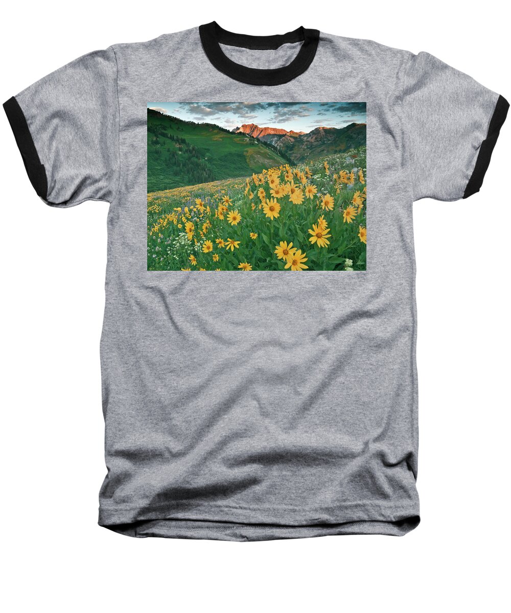 Albion Basin Baseball T-Shirt featuring the photograph Albion Basin Wildflowers #4 by Douglas Pulsipher