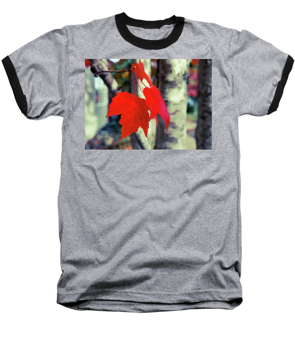 Art Baseball T-Shirt featuring the photograph Red #4 by Ronda Broatch