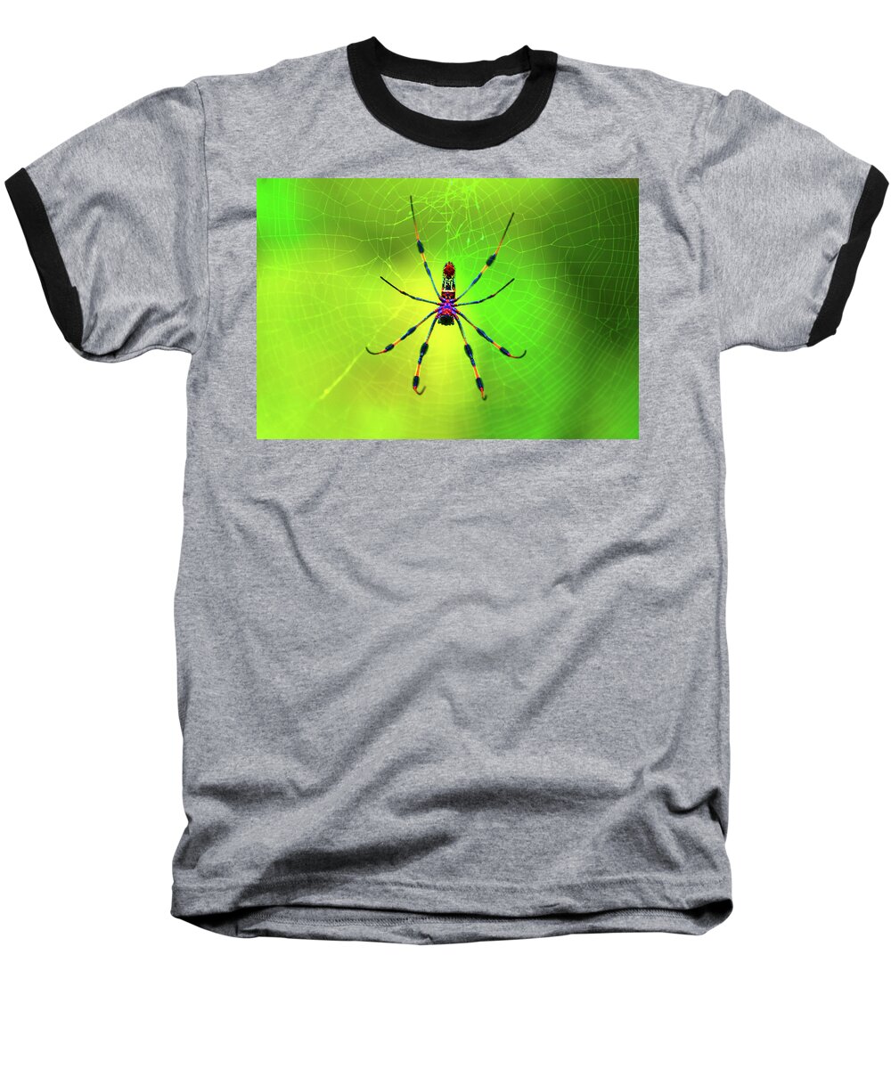 Banana Spider Baseball T-Shirt featuring the digital art 42- Come Closer by Joseph Keane