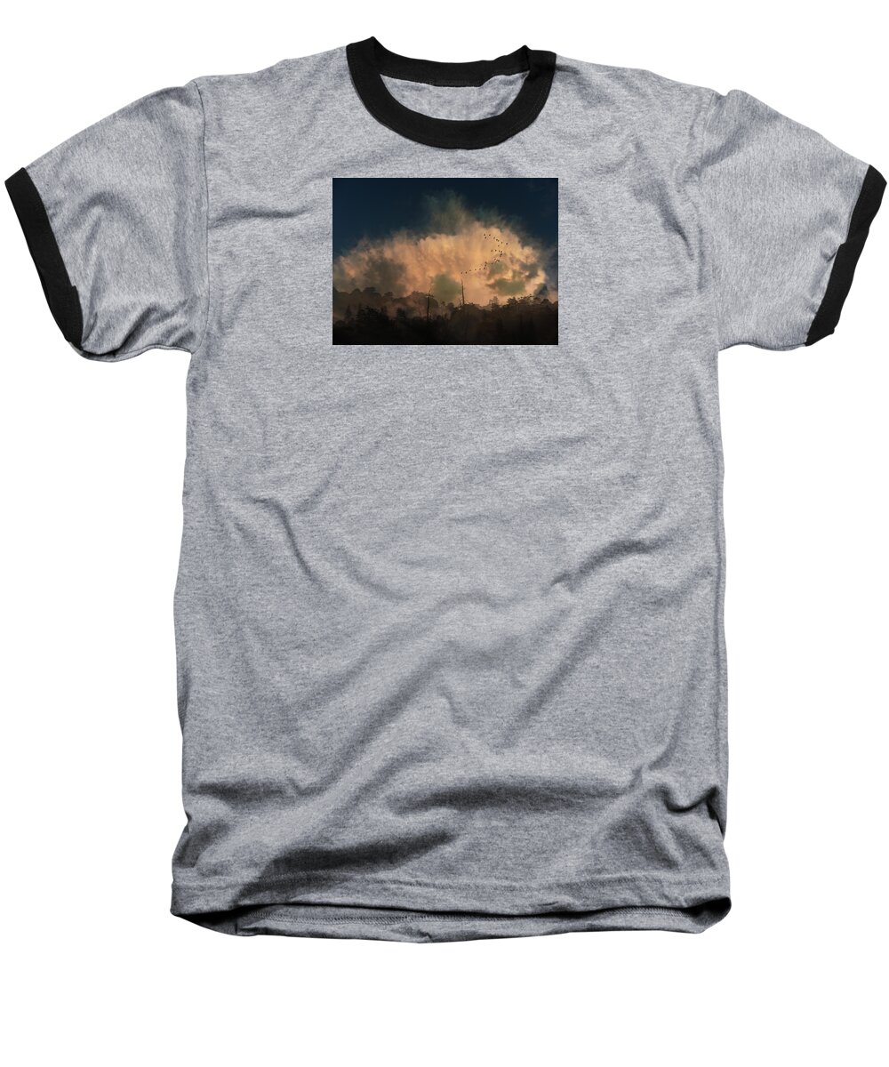 Trees Baseball T-Shirt featuring the photograph 4382 by Peter Holme III