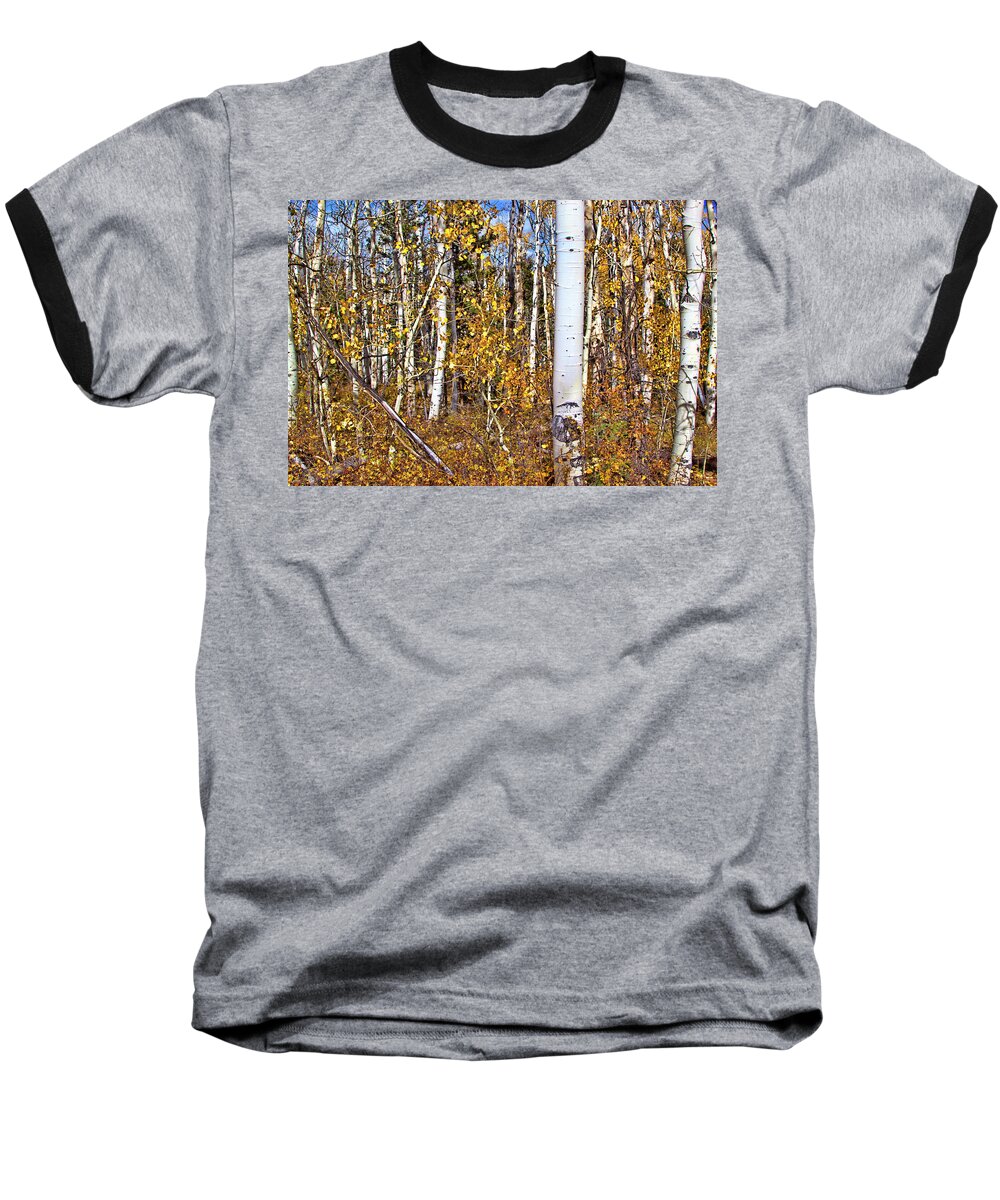 Autumn Baseball T-Shirt featuring the photograph Rocky Mountain Fall #5 by Mark Smith