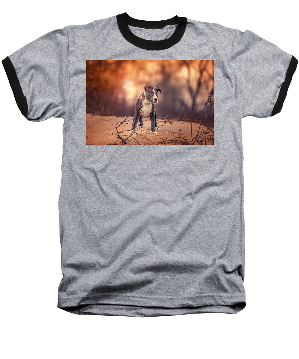 Adorable Baseball T-Shirt featuring the photograph American Pitbull #6 by Peter Lakomy