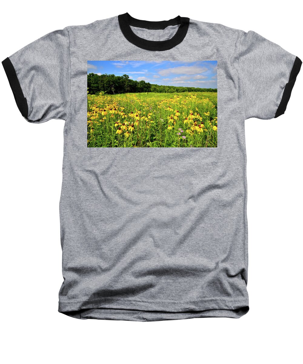 Mchenry County Baseball T-Shirt featuring the photograph Marengo Ridge Wildflowers #6 by Ray Mathis
