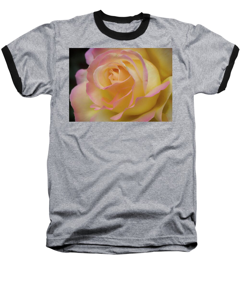 Nature Baseball T-Shirt featuring the photograph Rose Beauty #6 by Shirley Mitchell