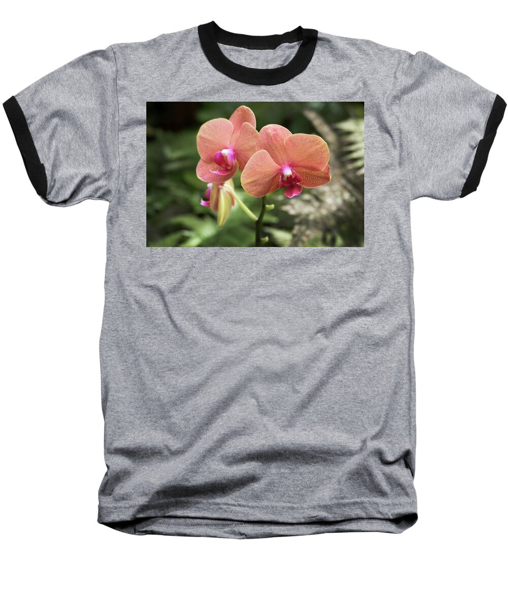 Hawaii Baseball T-Shirt featuring the photograph Hawaii Botanical Garden #9 by Joe Palermo