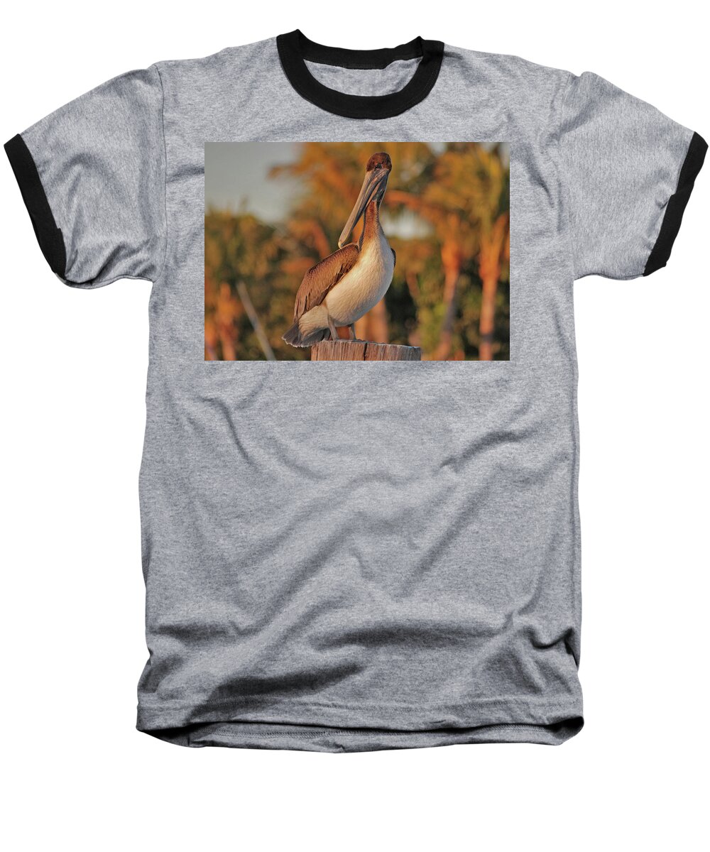  Pelican Baseball T-Shirt featuring the photograph 9- Brown Pelican by Joseph Keane