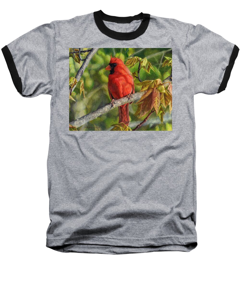 Cardinal Baseball T-Shirt featuring the drawing A Cardinal Named Carl by Shana Rowe Jackson