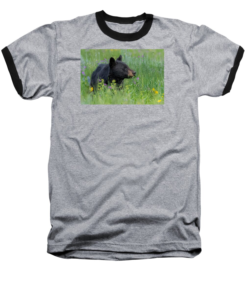 Bear Baseball T-Shirt featuring the photograph A Field Of Dreams by Yeates Photography
