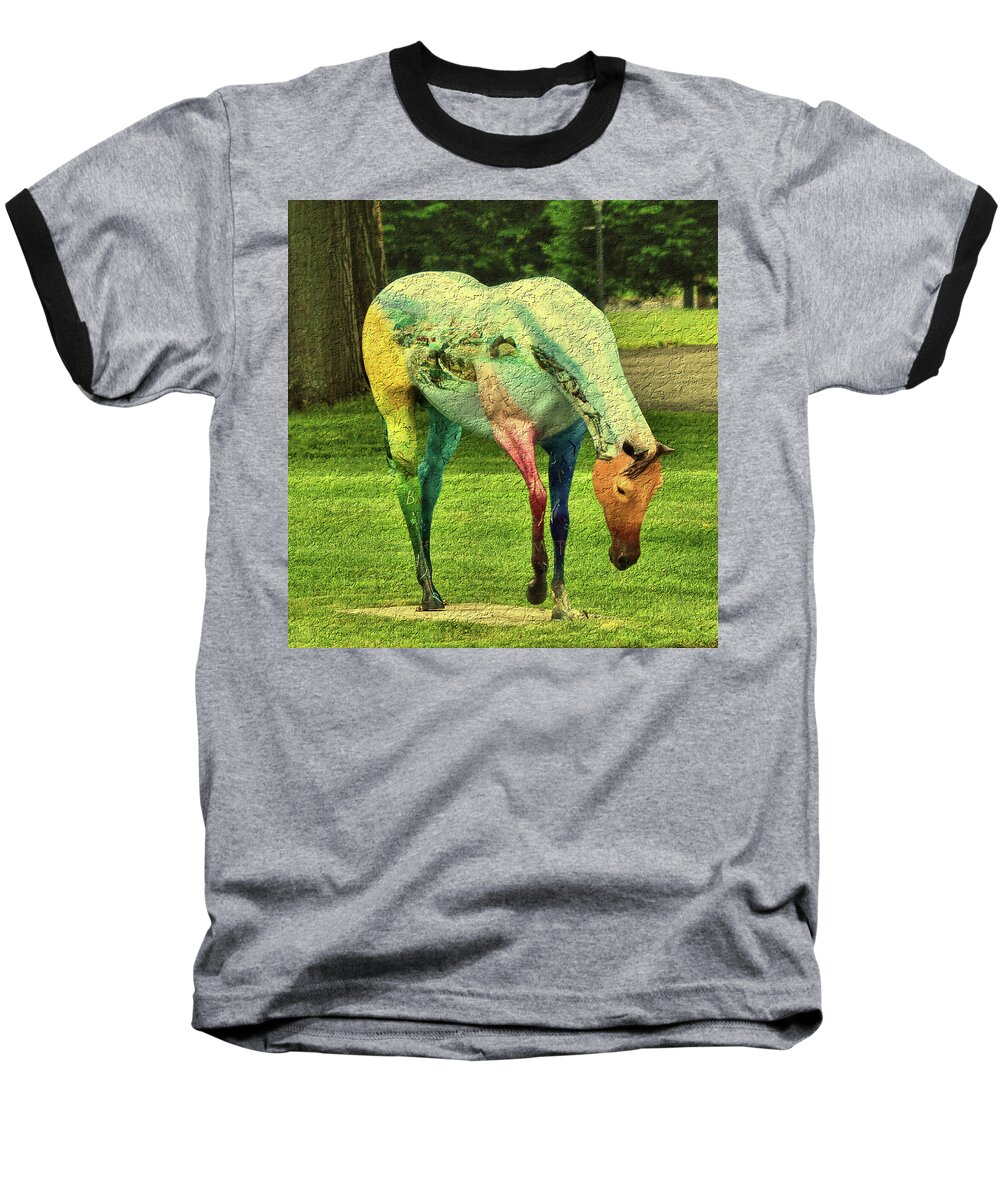 Horse Baseball T-Shirt featuring the photograph A Horse is a Horse by Charles HALL