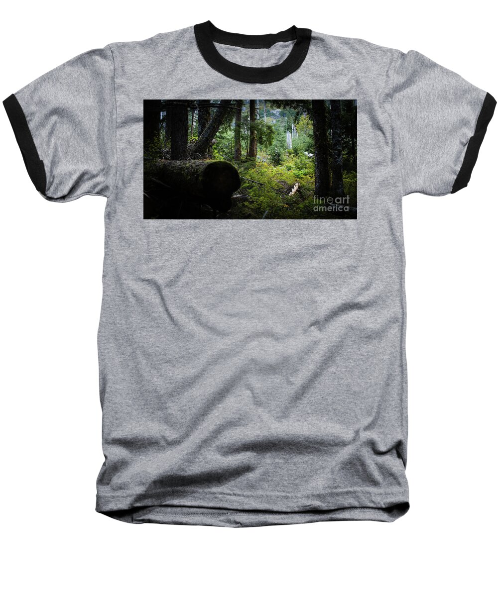 Forest Baseball T-Shirt featuring the photograph A light spot in the forest by Agnes Caruso