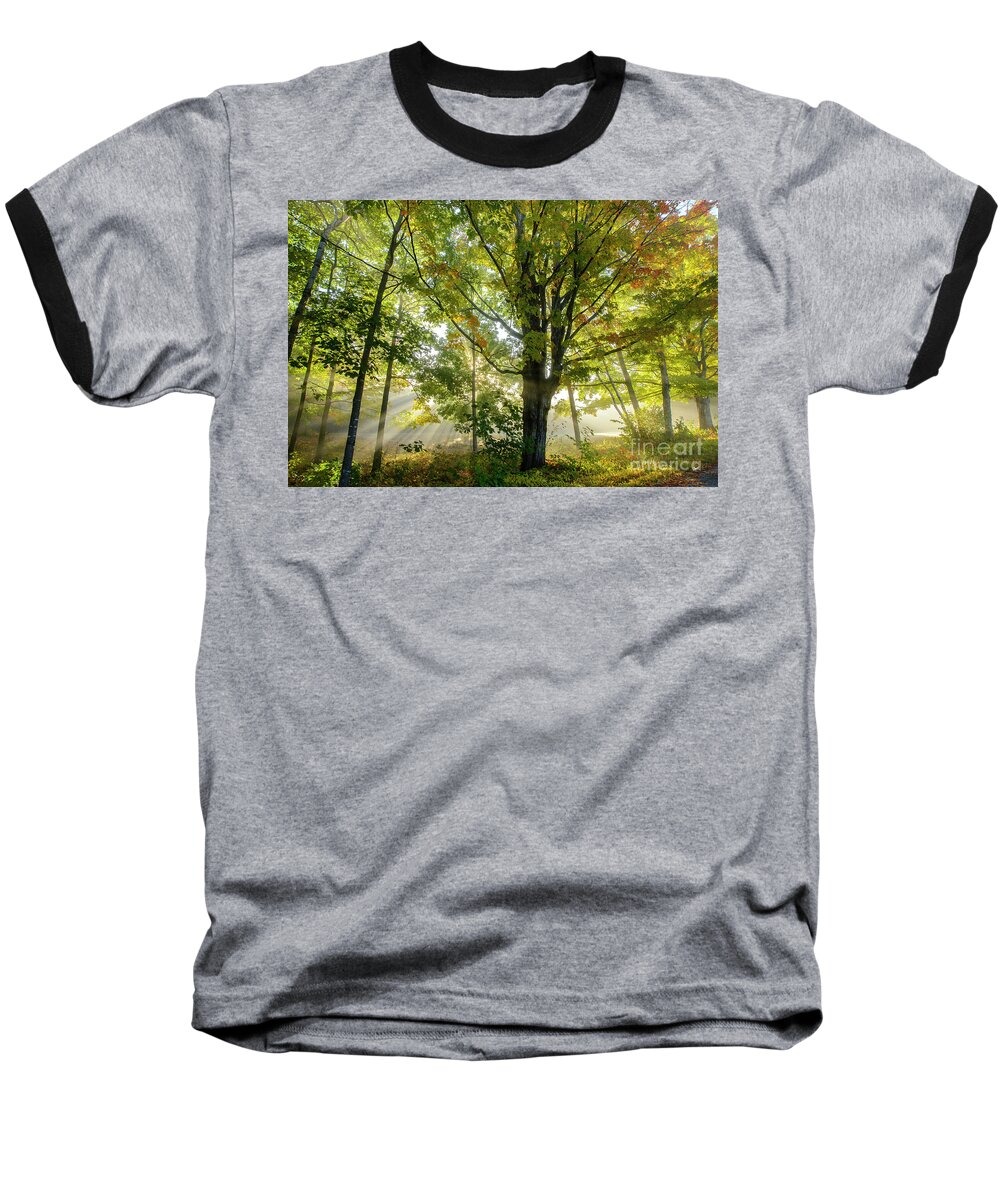 Misty Baseball T-Shirt featuring the photograph A Misty Fall Morning by Alana Ranney