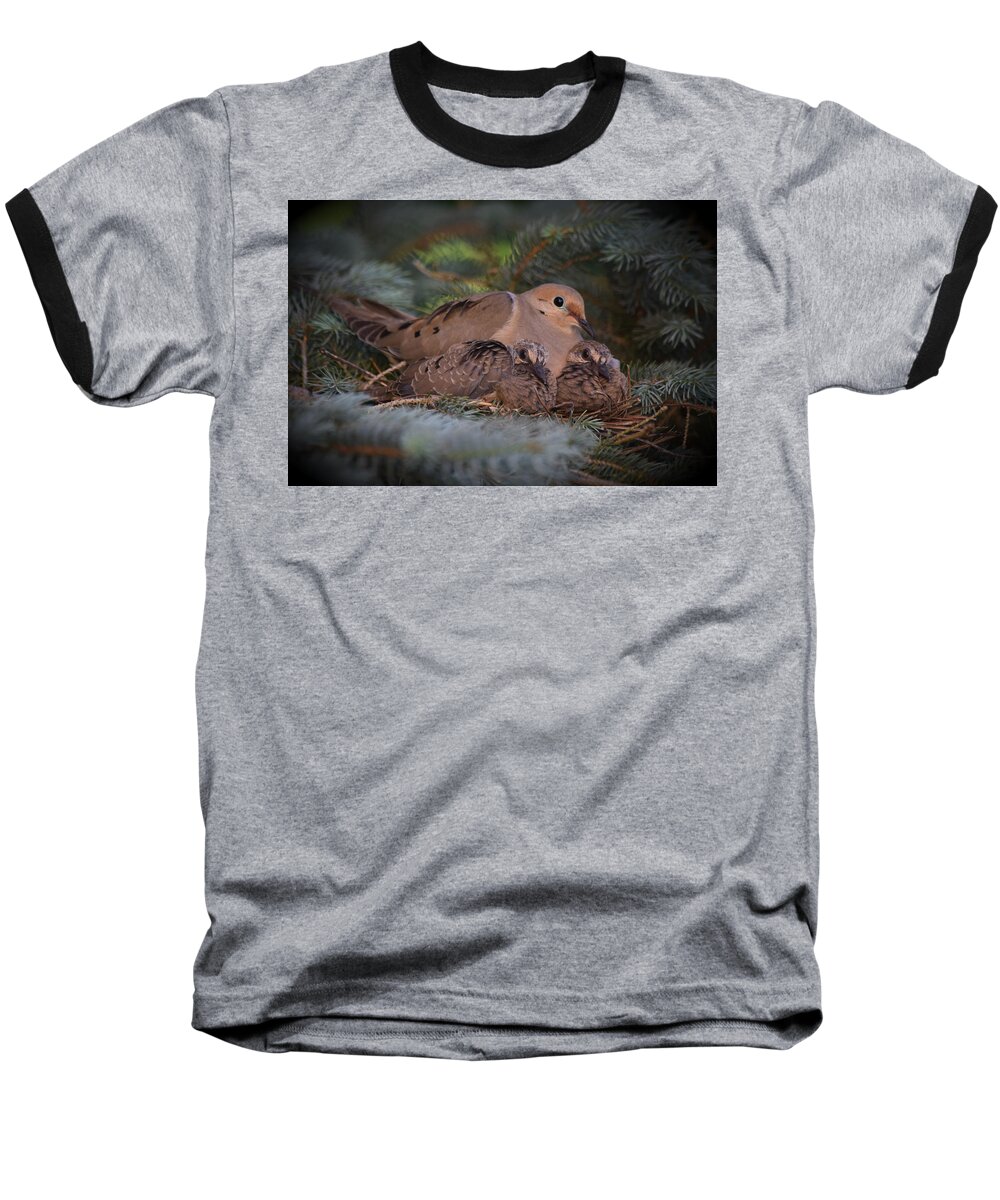 Doves Baseball T-Shirt featuring the photograph A Mother's Love by Gary Smith