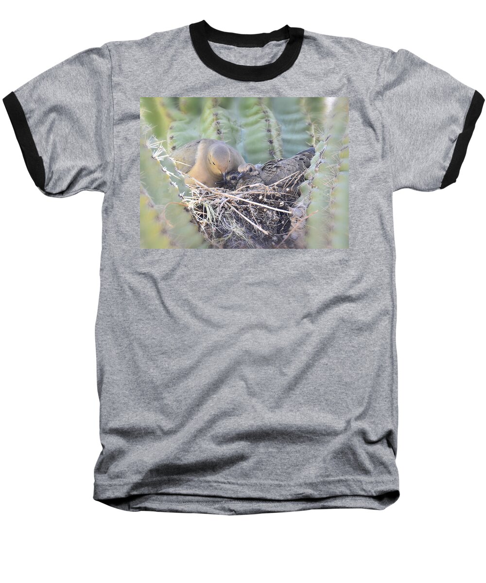 Mourning Dove Baseball T-Shirt featuring the photograph A Mother's Love by Saija Lehtonen