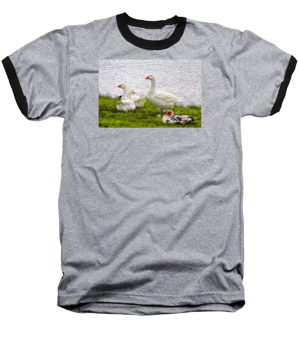 Ducks Baseball T-Shirt featuring the photograph A Quiet Moment by Joan Bertucci