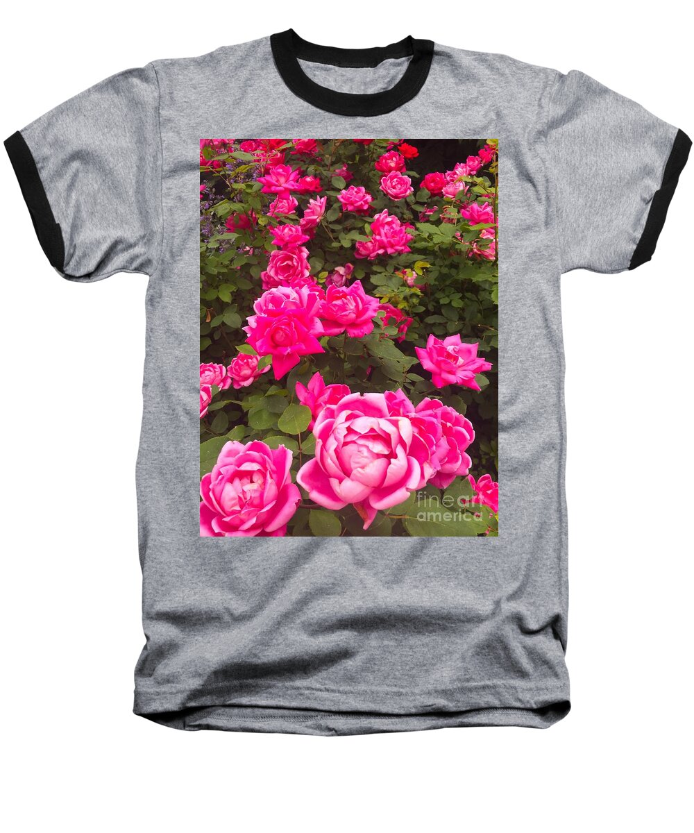 Roses Baseball T-Shirt featuring the photograph A Rose By Any Other Name by Beth Saffer
