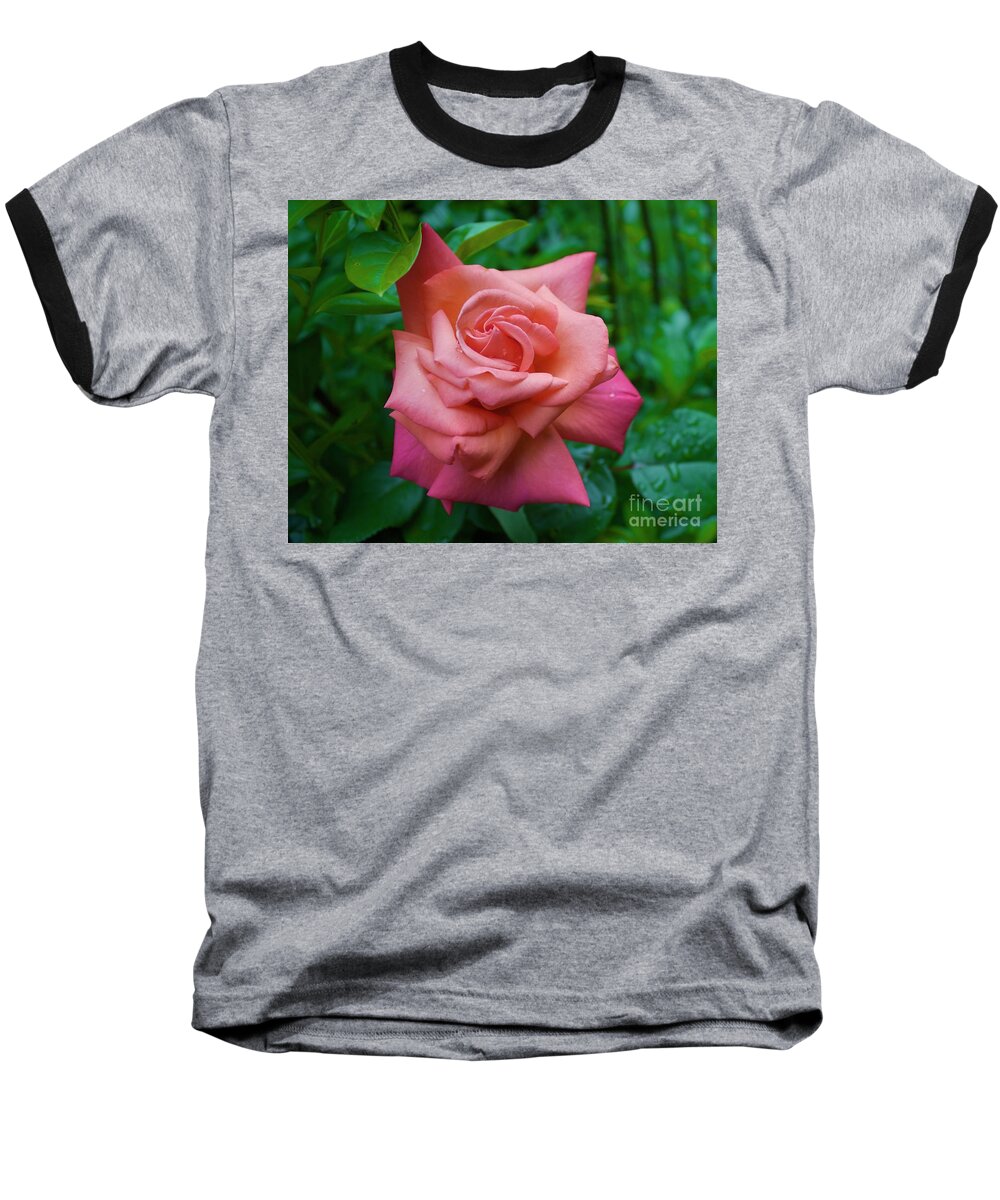 Rose Baseball T-Shirt featuring the photograph A Rose in Spring by Alice Mainville