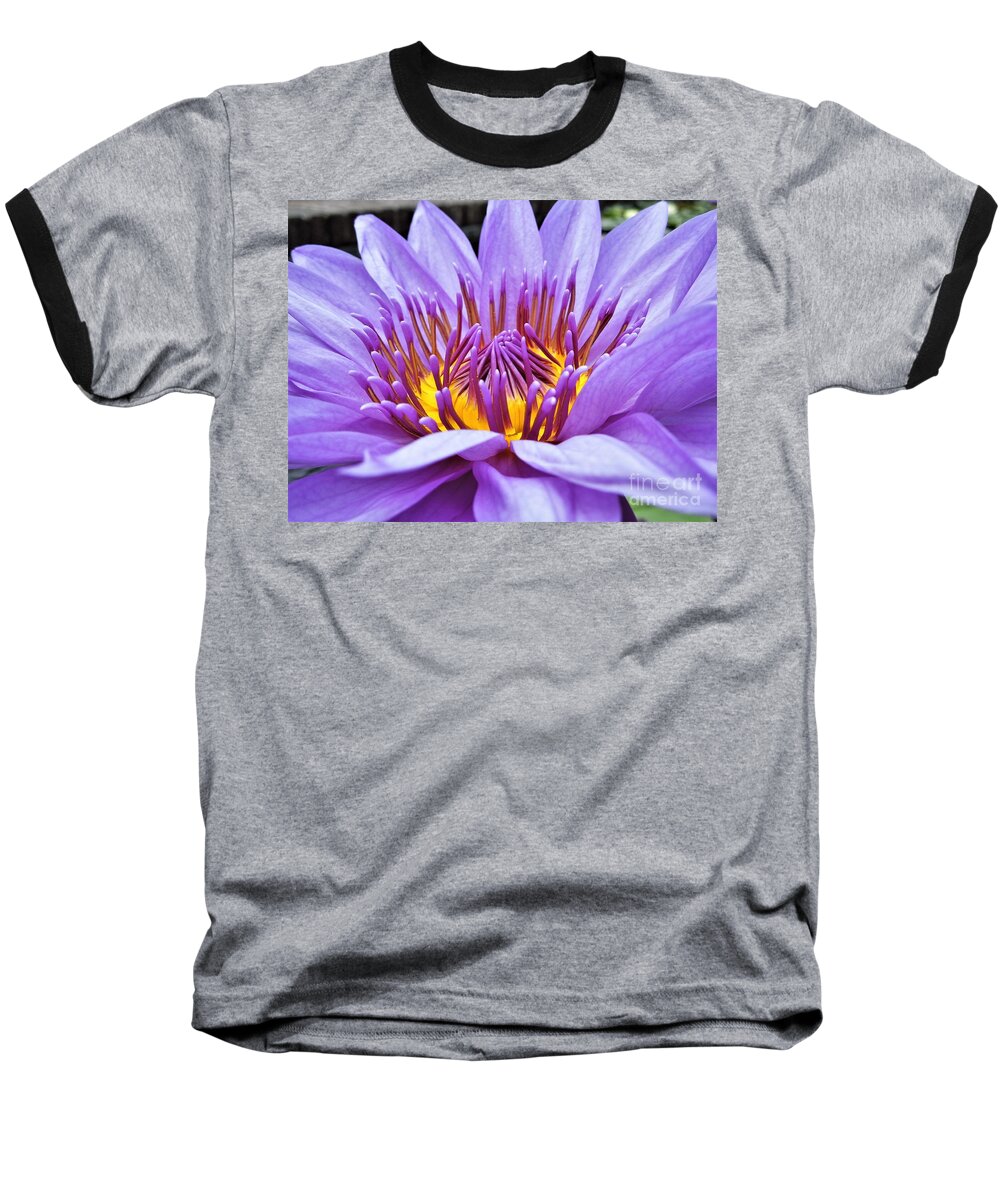 Water Lily Baseball T-Shirt featuring the photograph A Sliken Purple Water Lily by Chad and Stacey Hall