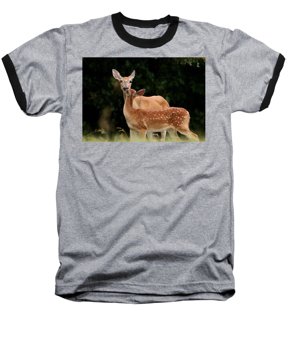 Nature Baseball T-Shirt featuring the photograph A Tender Moment by Sheila Brown
