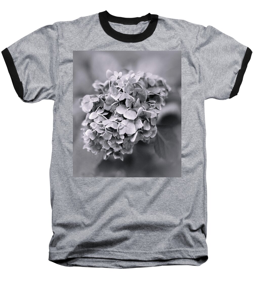 Garden Baseball T-Shirt featuring the photograph Hydrangea by Elvira Pinkhas