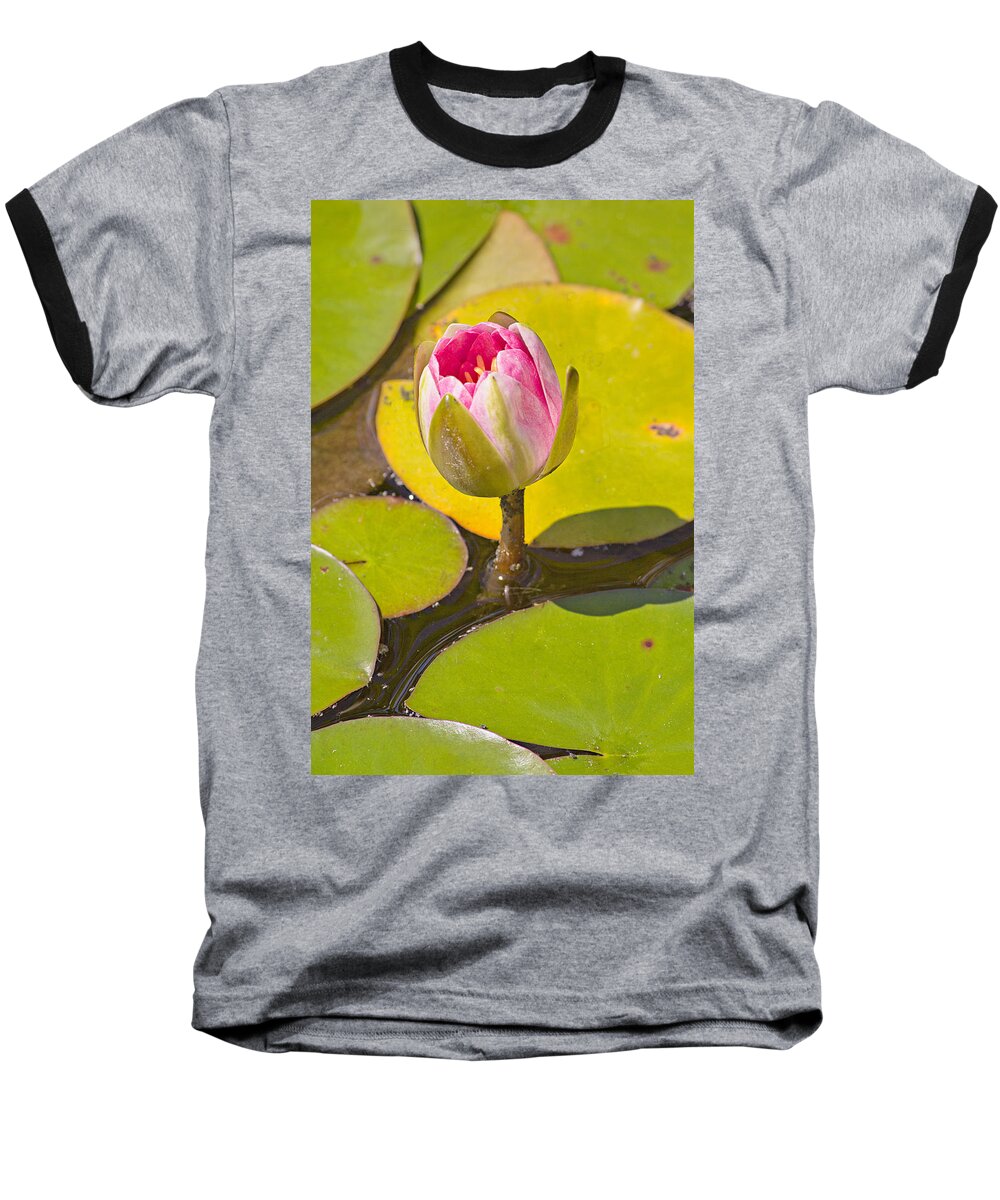 Flower Baseball T-Shirt featuring the photograph About to Bloom by Peter J Sucy