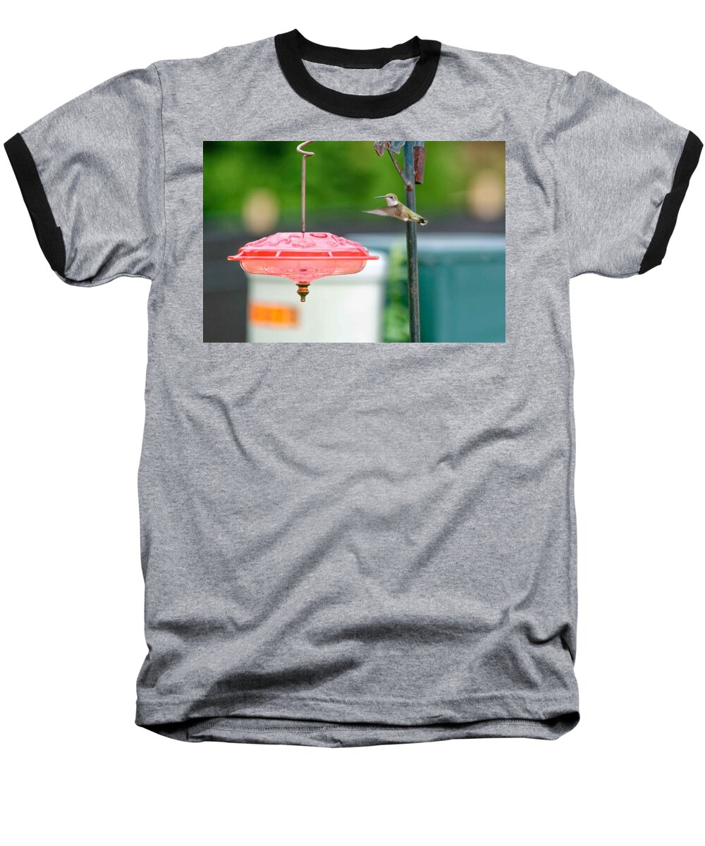Hummingbird Baseball T-Shirt featuring the photograph About to land by Peter Ponzio