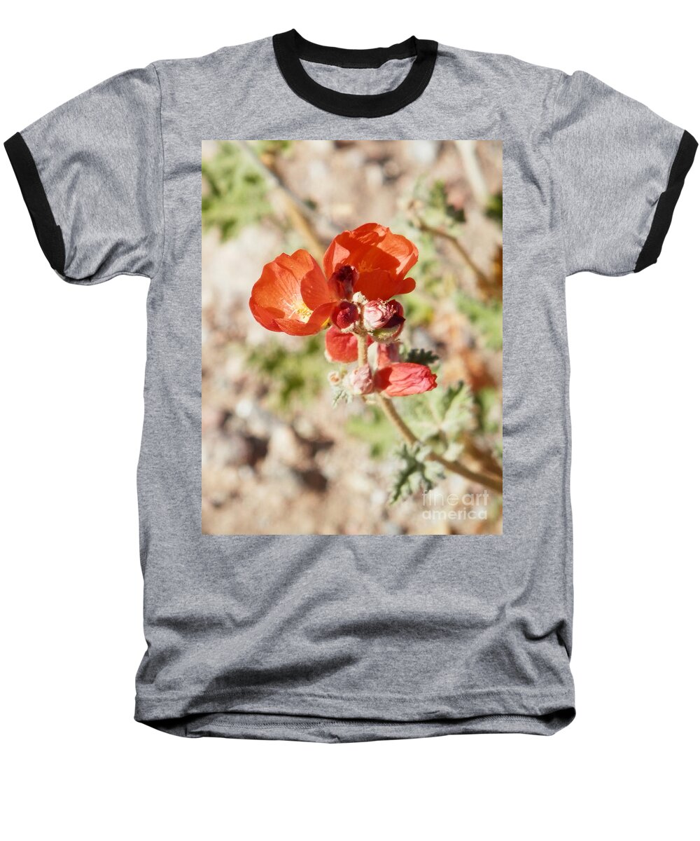 Desert Spring Flowers Baseball T-Shirt featuring the photograph Aeon in red by Barbara Leigh Art