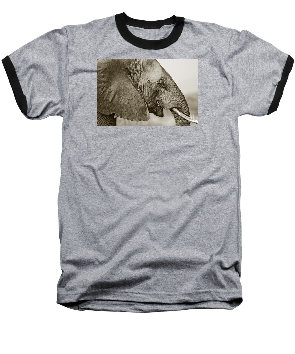 African Elephant Baseball T-Shirt featuring the photograph African Elephant profile duotoned by Liz Leyden