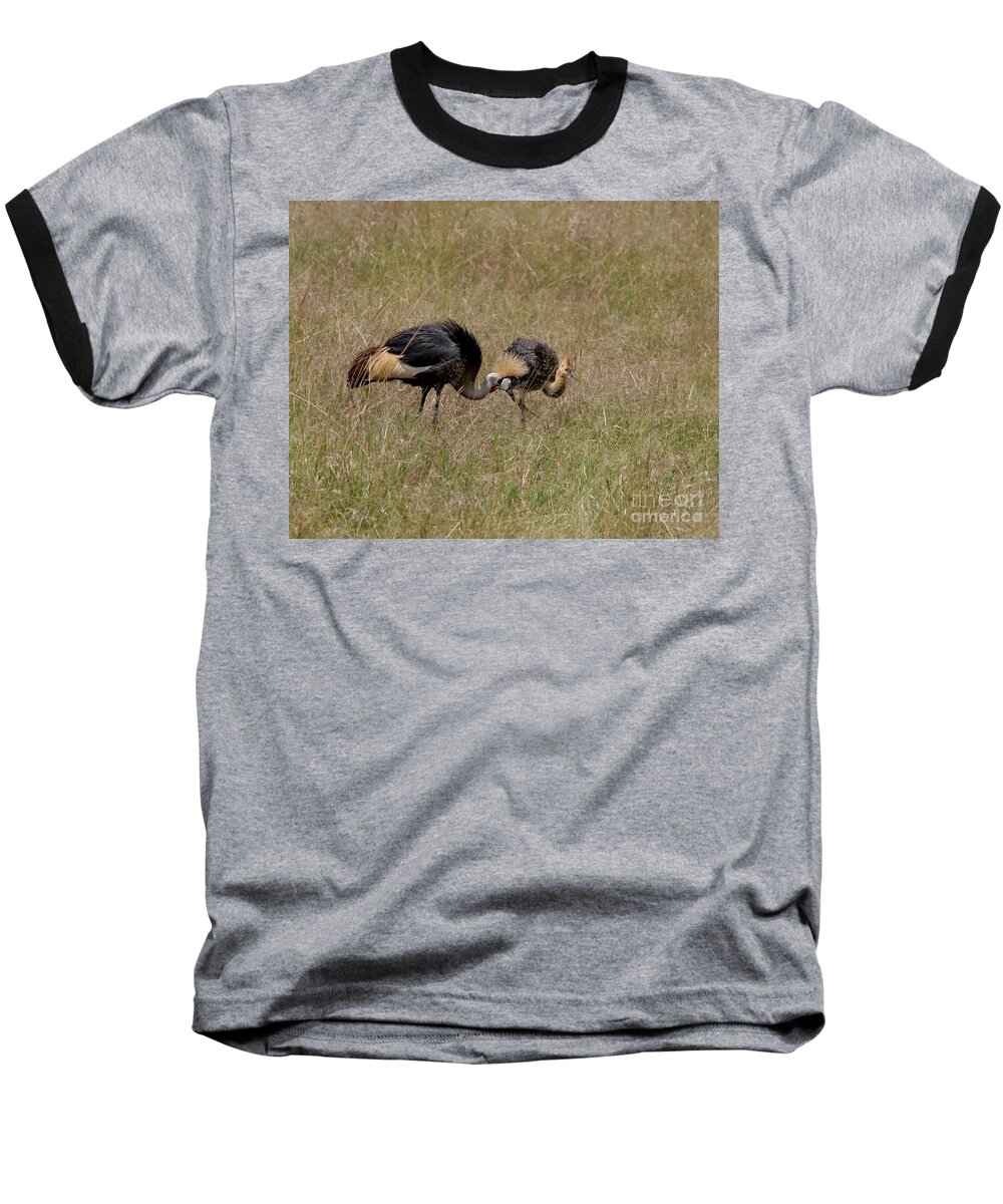 Grey Crown Crane Baseball T-Shirt featuring the photograph African Grey Crowned Crane with Chick by Joseph G Holland