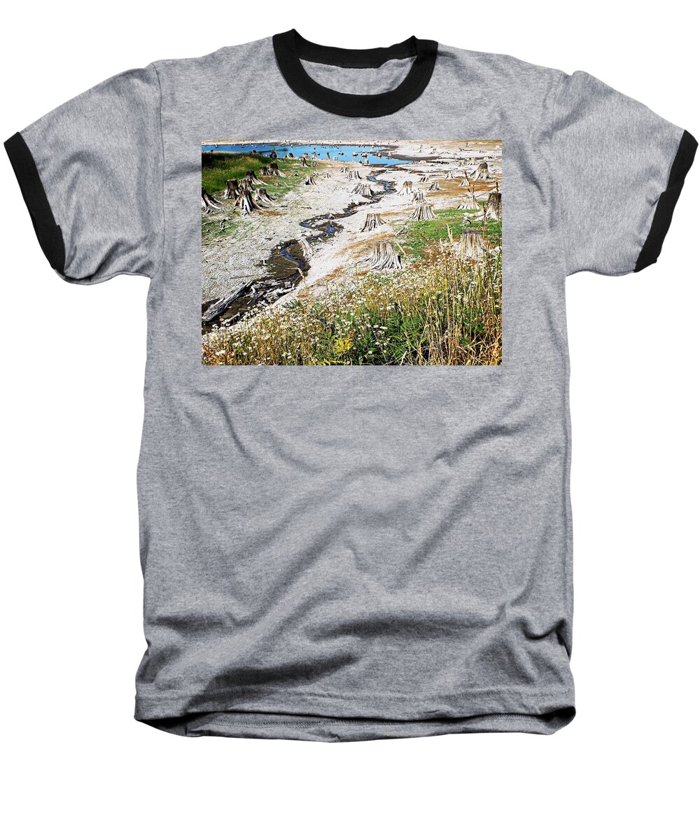 United States Baseball T-Shirt featuring the photograph Alder Lake Stumps by Joseph Hendrix
