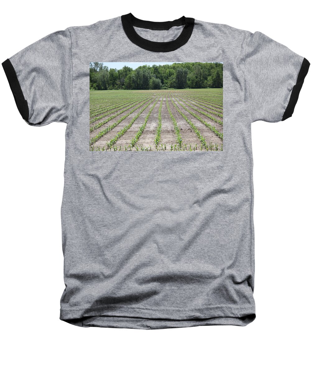 Corn Baseball T-Shirt featuring the photograph Alien Crop Lines by Kathryn Cornett