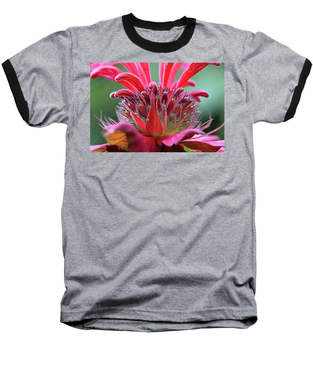 Bee Balm Baseball T-Shirt featuring the photograph Alien Plant Life by David Stasiak