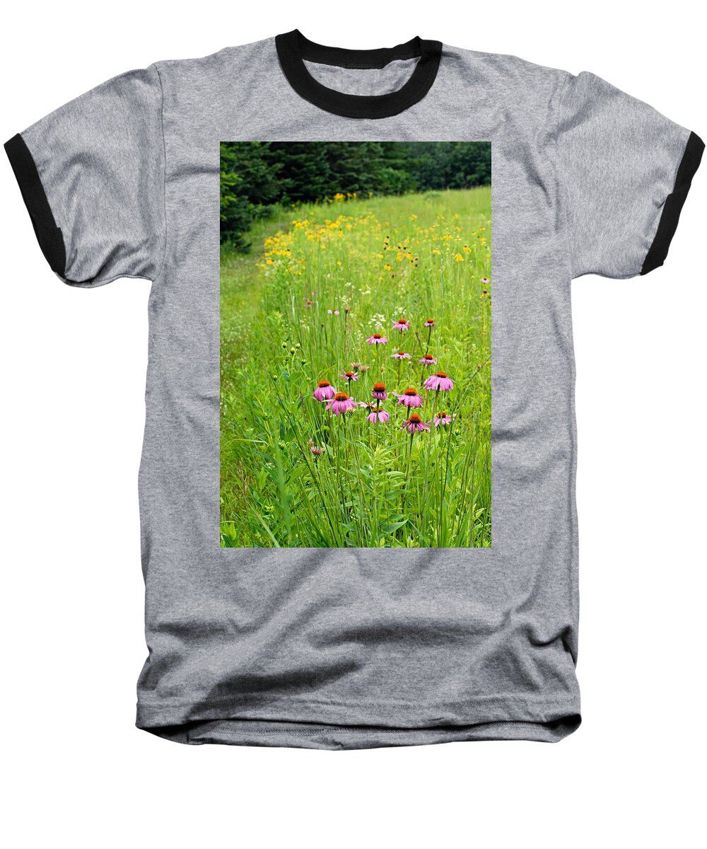 Photography Baseball T-Shirt featuring the photograph Along a Prairie Path by Larry Ricker