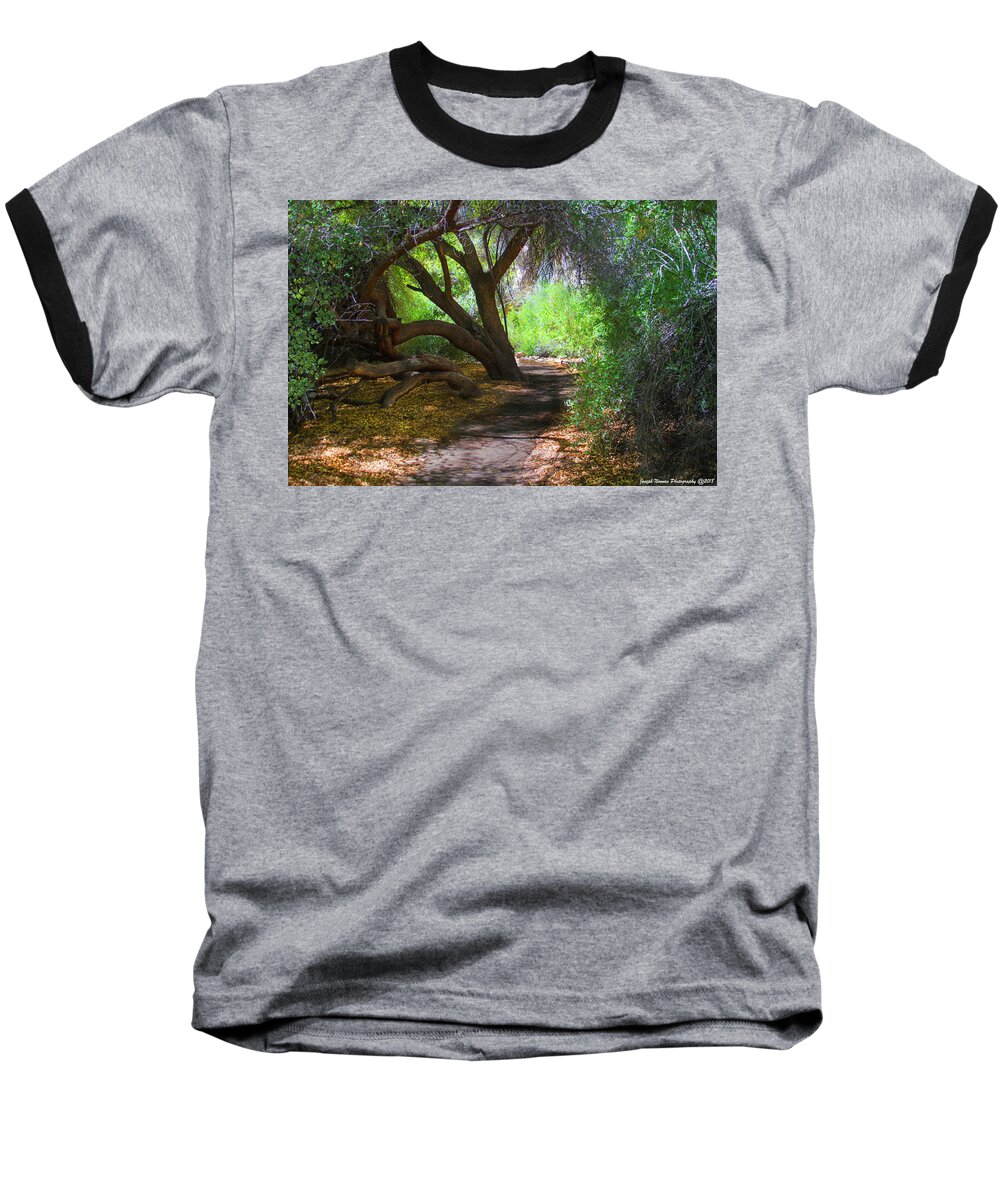 Path Baseball T-Shirt featuring the photograph Along The Path by Joseph Noonan