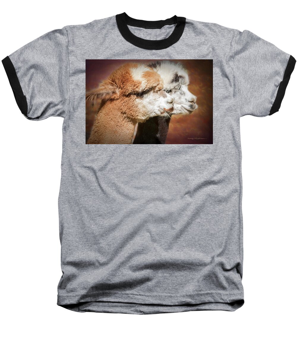 Huacaya Baseball T-Shirt featuring the photograph Alpacas #2. by George Robinson
