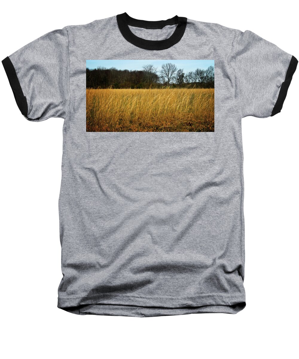 Grain Baseball T-Shirt featuring the photograph Amber Waves of Grain by George Taylor